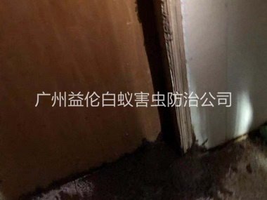 嘉禾白蚁危害防治工程