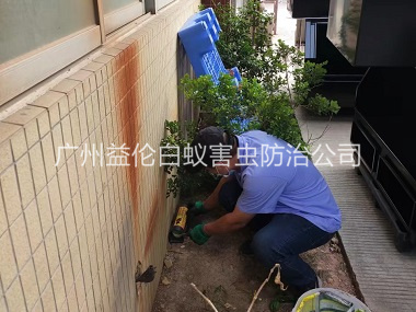 良田投放灭鼠装置工程