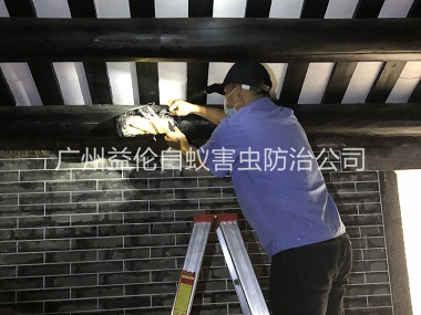 神山祠堂杀灭白蚁工程