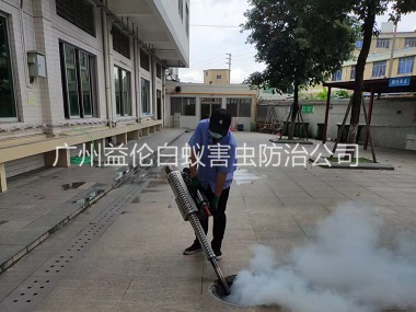 新市下水道治蚊虫工程