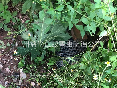 龙归住宅区处理蛇患工程