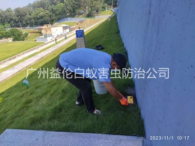 石马堤坝鼠害防治工程