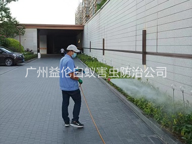 金沙洲消杀蚊蝇工程