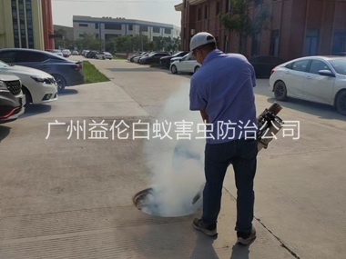 龙归登革热防控消杀工程