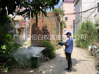 竹料村庄灭蚊预防“两热”工程